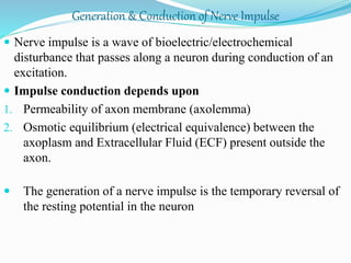 Generation & Conduction of Nerve Impulse
 Nerve impulse is a wave of bioelectric/electrochemical
disturbance that passes along a neuron during conduction of an
excitation.
 Impulse conduction depends upon
1. Permeability of axon membrane (axolemma)
2. Osmotic equilibrium (electrical equivalence) between the
axoplasm and Extracellular Fluid (ECF) present outside the
axon.
 The generation of a nerve impulse is the temporary reversal of
the resting potential in the neuron
 