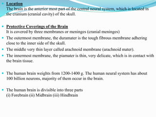  Location
The brain is the anterior most part of the central neural system, which is located in
the cranium (cranial cavity) of the skull.
 Protective Coverings of the Brain
It is covered by three membranes or meninges (cranial meninges)
 The outermost membrane, the duramater is the tough fibrous membrane adhering
close to the inner side of the skull.
 The middle very thin layer called arachnoid membrane (arachnoid mater).
 The innermost membrane, the piamater is thin, very delicate, which is in contact with
the brain tissue.
 The human brain weights from 1200-1400 g. The human neural system has about
100 billion neurons, majority of them occur in the brain.
 The human brain is divisible into three parts
(i) Forebrain (ii) Midbrain (iii) Hindbrain
 