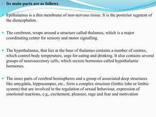 Its main parts are as follows
 Epithalamus is a thin membrane of non-nervous tissue. It is the posterior segment of
the diencephalon.
 The cerebrum, wraps around a structure called thalamus, which is a major
coordinating center for sensory and motor signalling.
 The hypothalamus, that lies at the base of thalamus contains a number of centres,
which control body temperature, urge for eating and drinking. It also contains several
groups of neurosecretory cells, which secrete hormones called hypothalamic
hormones.
 The inner parts of cerebral hemispheres and a group of associated deep structures
like amygdala, hippocampus, etc., form a complex structure (limbic lobe or limbic
system) that are involved in the regulation of sexual behaviour, expression of
emotional reactions, e.g„ excitement, pleasure, rage and fear and motivation
 