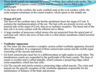  These (both) canals are separated by a small cochlear duct called scala media. The
vestibular and tympanic canals contain and the cochlear duct is filled with
endolymph.
 At the base of the cochlea, the scala vestibuli ends at the oval window while, the
scala tympani terminates at the round window, which opens to the middle ear.
 Organ of Corti
The floor of the cochlear duct, the basilar membrane bears the organ of Corti. It
contains the mechanoreceptors of the ear. The hair cells are present in rows on the
internal side of the organ of Corti, that act as auditory receptors. The basal end of the
hair cell is in close contact with the afferent nerve fibres.
 A large number of processes called stereo cilia are projected from the apical part of
each hair cell. Above the rows of hair cells is a thin elastic membrane called tectorial
membrane.
 Vestibular Apparatus
(i) The inner ear also contains a complex system called vestibular apparatus (located
above the cochlea). It is composed of three semicircular canals and the otolith organ
consisting of the saccule and utricle.
 (ii) Each semicircular canal lies in a different plane at right angles to each other. The
membranous canals are suspended in the perilymph of the bony canals. The base of
canals is swollen and is called ampulla, which contains a projecting ridge called
crista ampullaris, which has hair cells.
 (iii) The saccule and utricle contain a projecting ridge called macula. The crista and
macula are the specific receptors of the vestibular apparatus responsible for the
maintenance of balance of the body and posture.
 