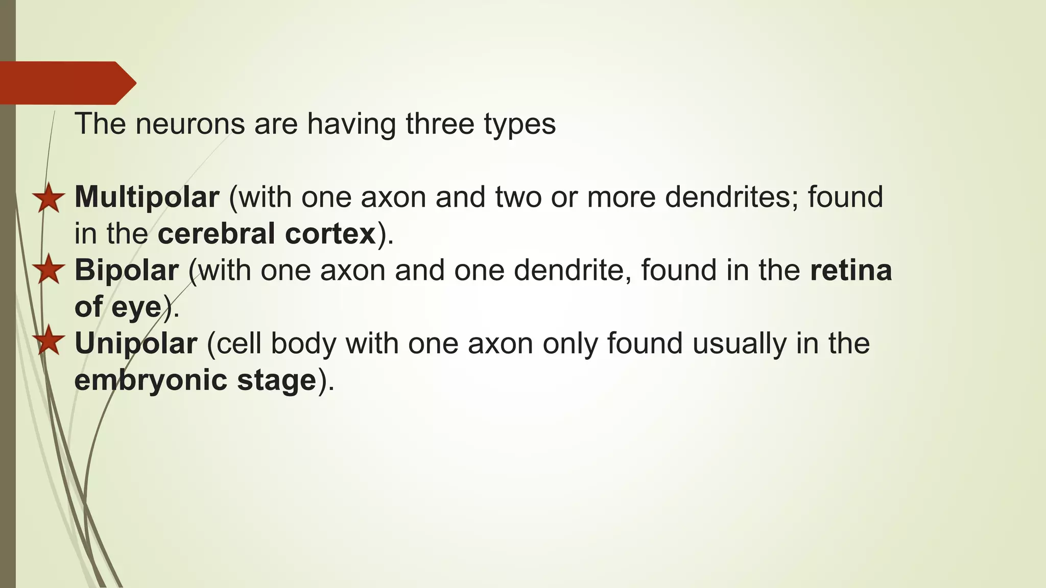 The neurons are having three types
Multipolar (with one axon and two or more dendrites; found
in the cerebral cortex).
Bipolar (with one axon and one dendrite, found in the retina
of eye).
Unipolar (cell body with one axon only found usually in the
embryonic stage).
 