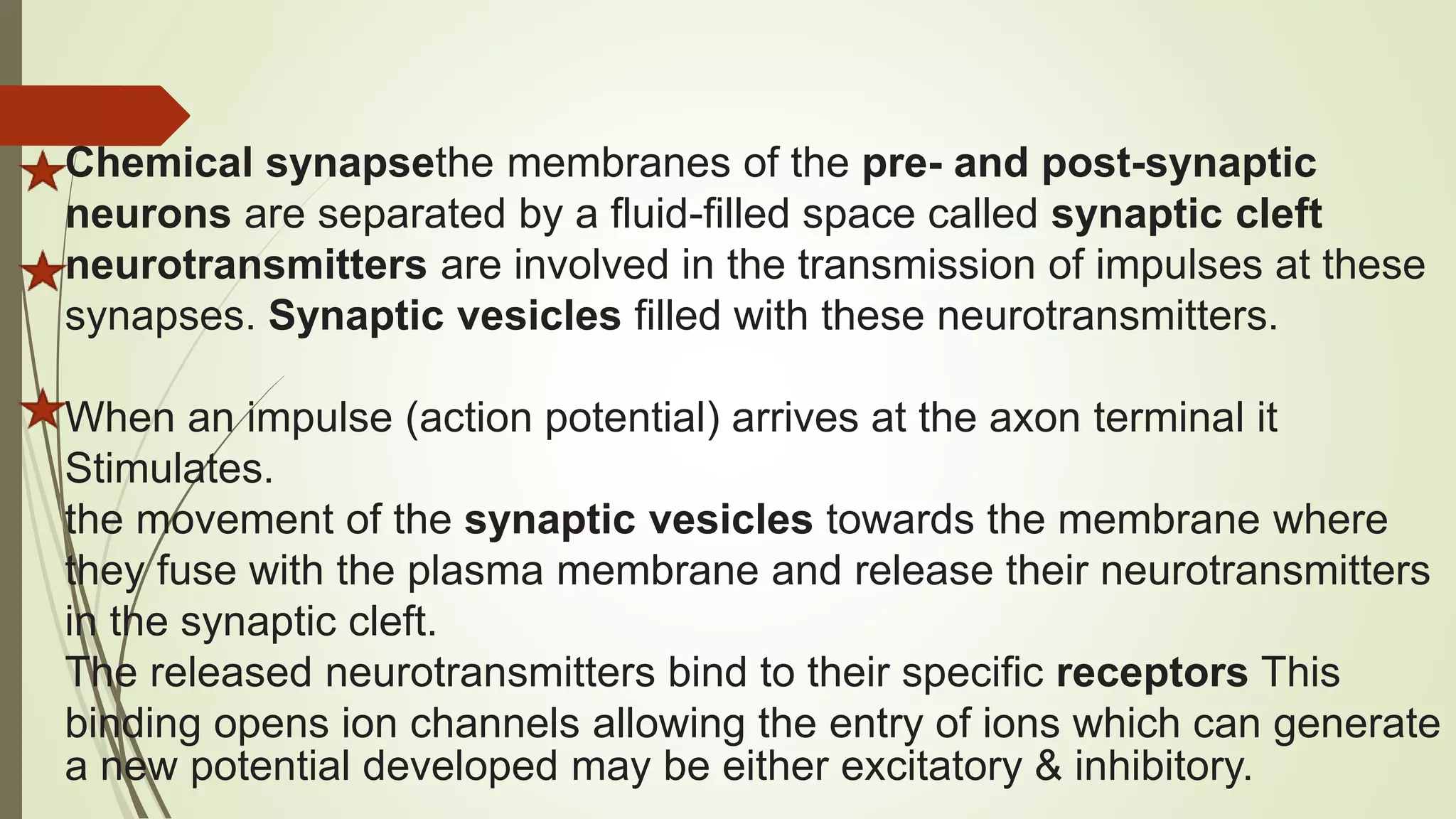 Chemical synapsethe membranes of the pre- and post-synaptic
neurons are separated by a fluid-filled space called synaptic cleft
neurotransmitters are involved in the transmission of impulses at these
synapses. Synaptic vesicles filled with these neurotransmitters.
When an impulse (action potential) arrives at the axon terminal it
Stimulates.
the movement of the synaptic vesicles towards the membrane where
they fuse with the plasma membrane and release their neurotransmitters
in the synaptic cleft.
The released neurotransmitters bind to their specific receptors This
binding opens ion channels allowing the entry of ions which can generate
a new potential developed may be either excitatory & inhibitory.
 
