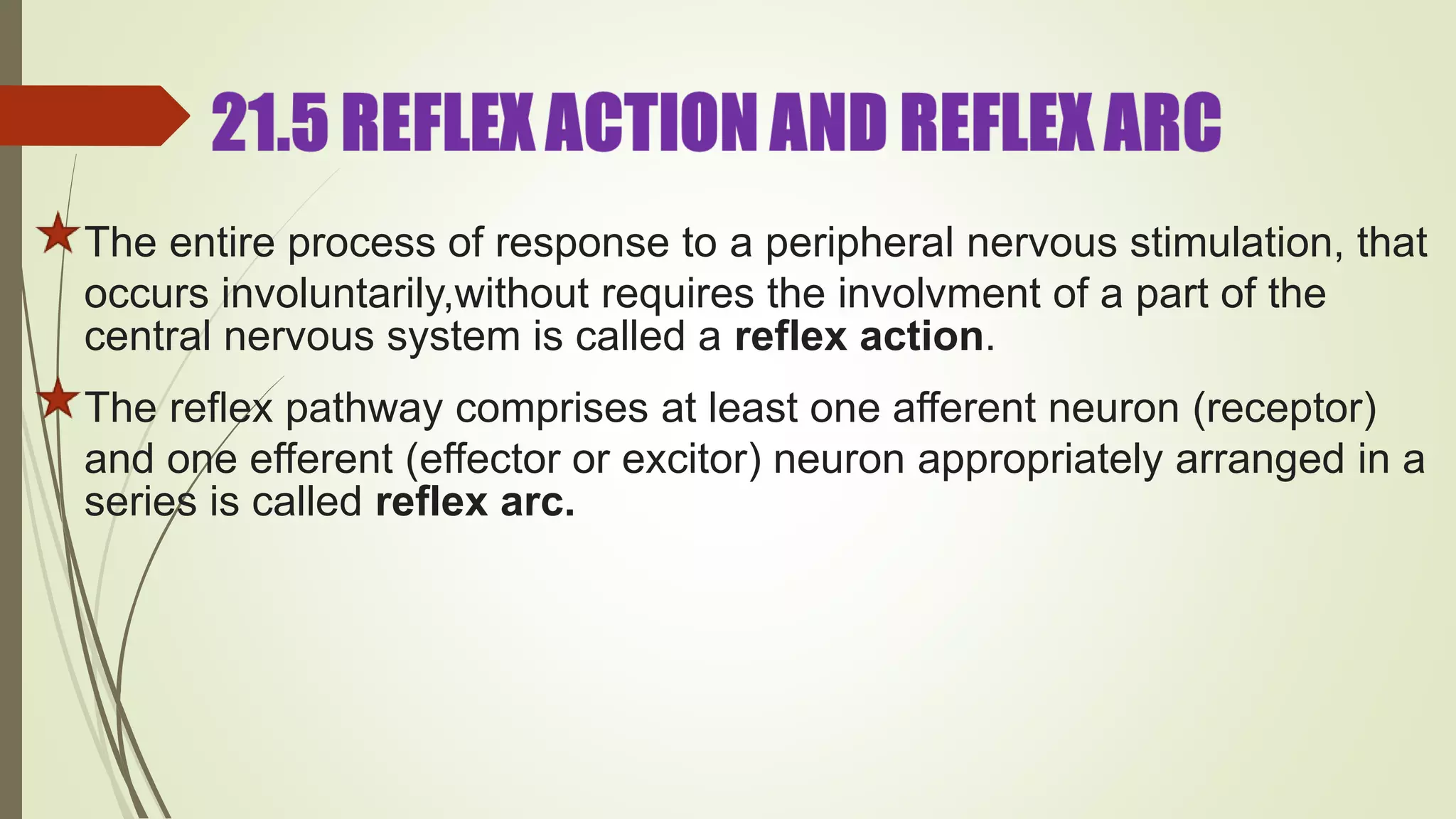 The entire process of response to a peripheral nervous stimulation, that
occurs involuntarily,without requires the involvment of a part of the
central nervous system is called a reflex action.
The reflex pathway comprises at least one afferent neuron (receptor)
and one efferent (effector or excitor) neuron appropriately arranged in a
series is called reflex arc.
 
