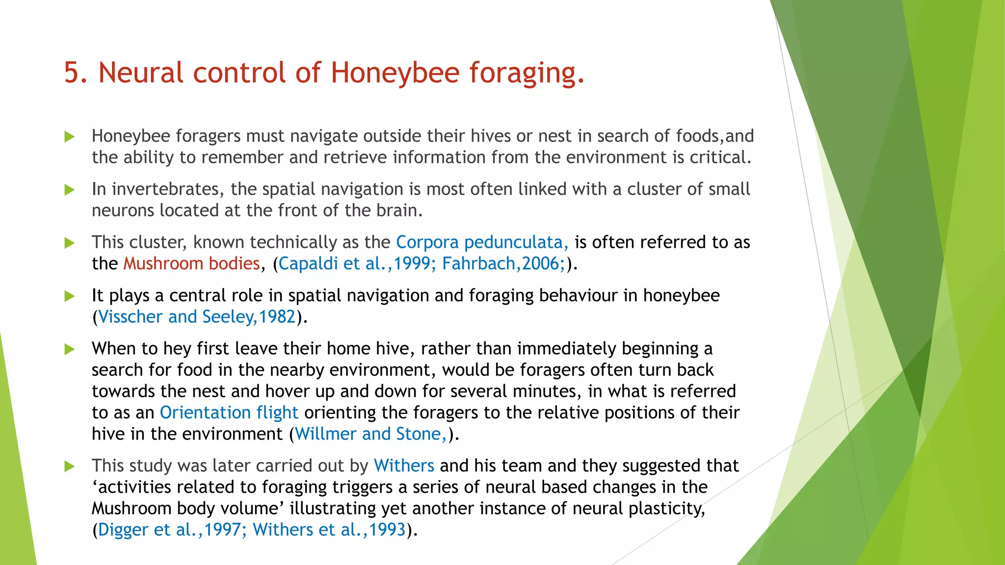 Neural_control_of_animal_behaviour[1]789.pptx