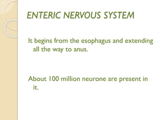 ENTERIC NERVOUS SYSTEM
It begins from the esophagus and extending
all the way to anus.
About 100 million neurone are present in
it.