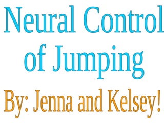 Neural Control  of Jumping By: Jenna and Kelsey! 