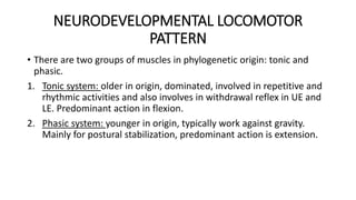 neural control of locomotion.pptx