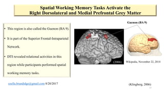 Neural correlates of working memory | PPTX