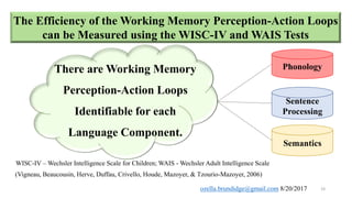 Neural correlates of working memory | PPTX