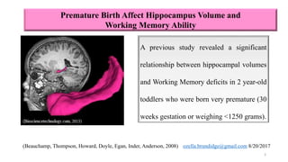 Neural correlates of working memory | PPTX