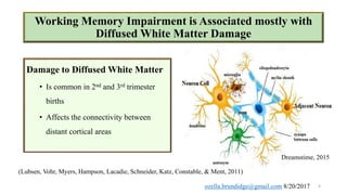 Neural correlates of working memory | PPTX