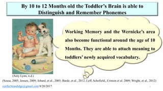 Neural correlates of working memory | PPTX