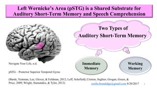 Neural correlates of working memory | PPTX