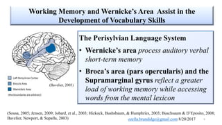 Neural correlates of working memory | PPTX