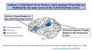 Neural correlates of working memory