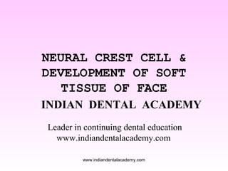 NEURAL CREST CELL &
DEVELOPMENT OF SOFT
TISSUE OF FACE
INDIAN DENTAL ACADEMY
Leader in continuing dental education
www.indiandentalacademy.com
www.indiandentalacademy.com
 