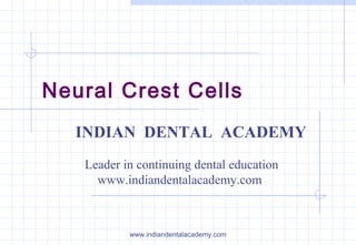 Neural Crest Cells
INDIAN DENTAL ACADEMY
Leader in continuing dental education
www.indiandentalacademy.com

www.indiandentalacademy.com

 