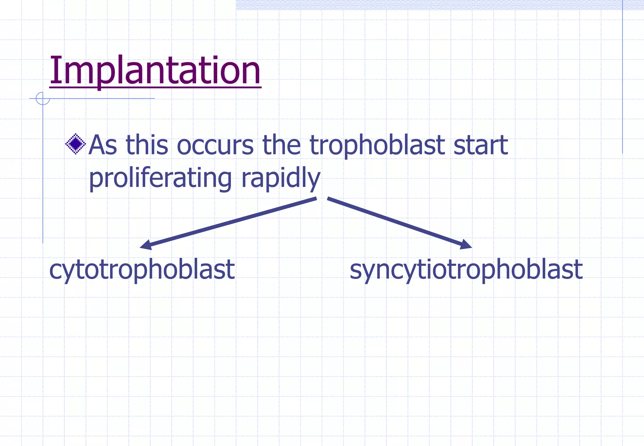 Implantation
As this occurs the trophoblast start
proliferating rapidly
cytotrophoblast syncytiotrophoblast
 