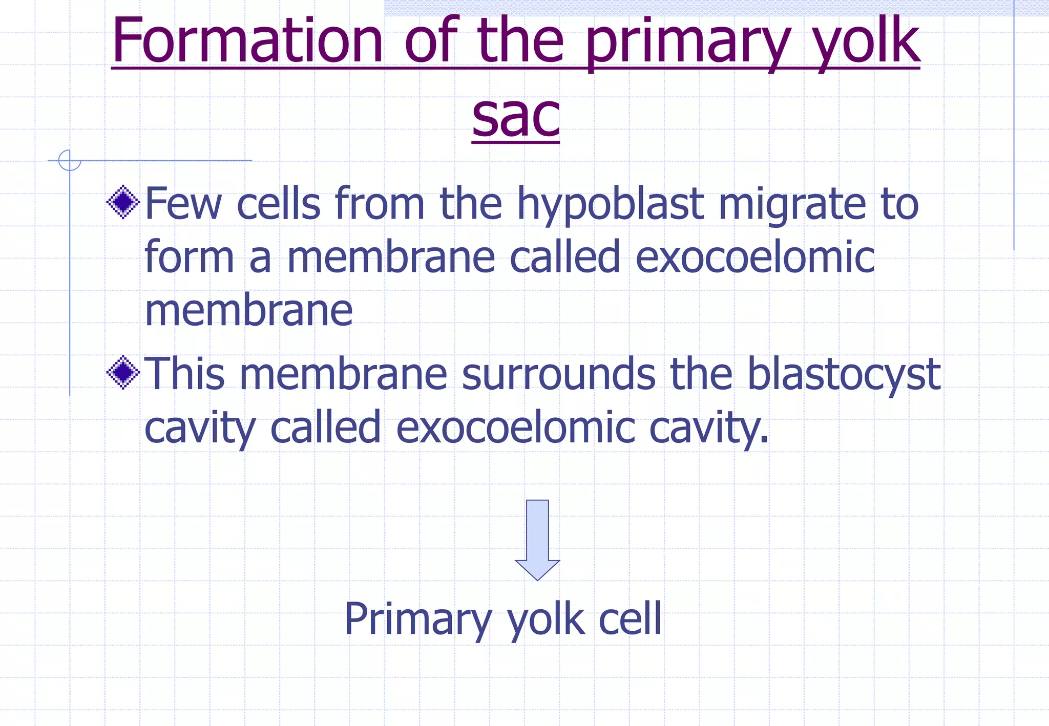 Formation of the primary yolk
sac
Few cells from the hypoblast migrate to
form a membrane called exocoelomic
membrane
This membrane surrounds the blastocyst
cavity called exocoelomic cavity.
Primary yolk cell
 