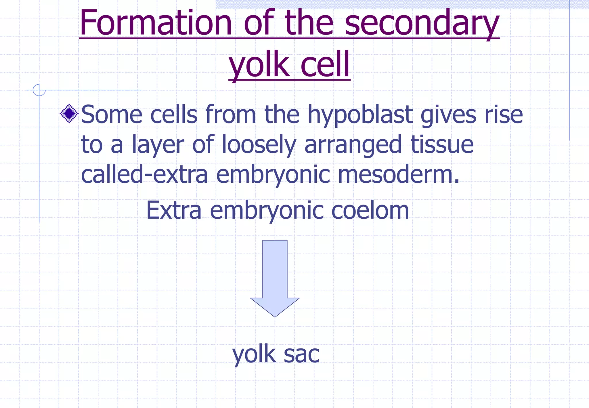 Formation of the secondary
yolk cell
Some cells from the hypoblast gives rise
to a layer of loosely arranged tissue
called-extra embryonic mesoderm.
Extra embryonic coelom
yolk sac
 