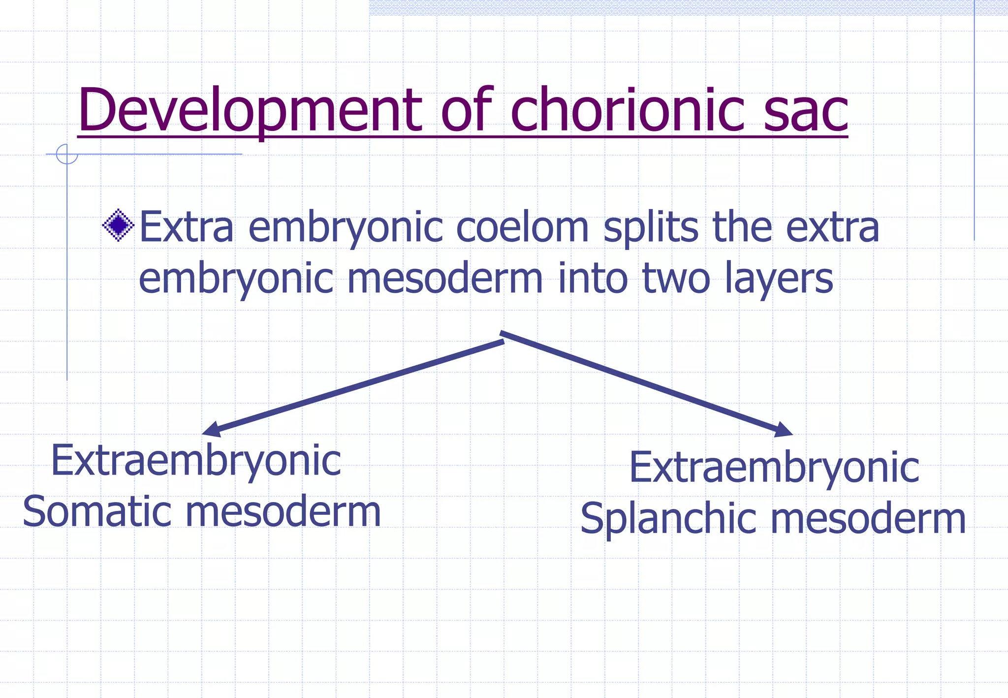 Development of chorionic sac
Extra embryonic coelom splits the extra
embryonic mesoderm into two layers
Extraembryonic
Somatic mesoderm
Extraembryonic
Splanchic mesoderm
 