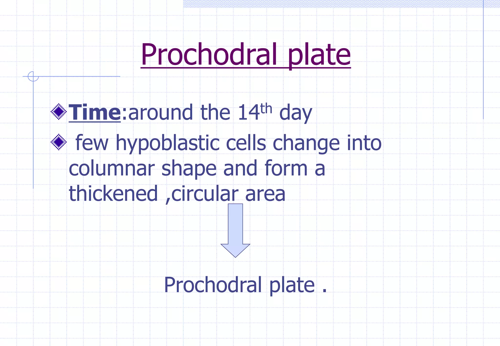 Prochodral plate
Time:around the 14th day
few hypoblastic cells change into
columnar shape and form a
thickened ,circular area
Prochodral plate .
 