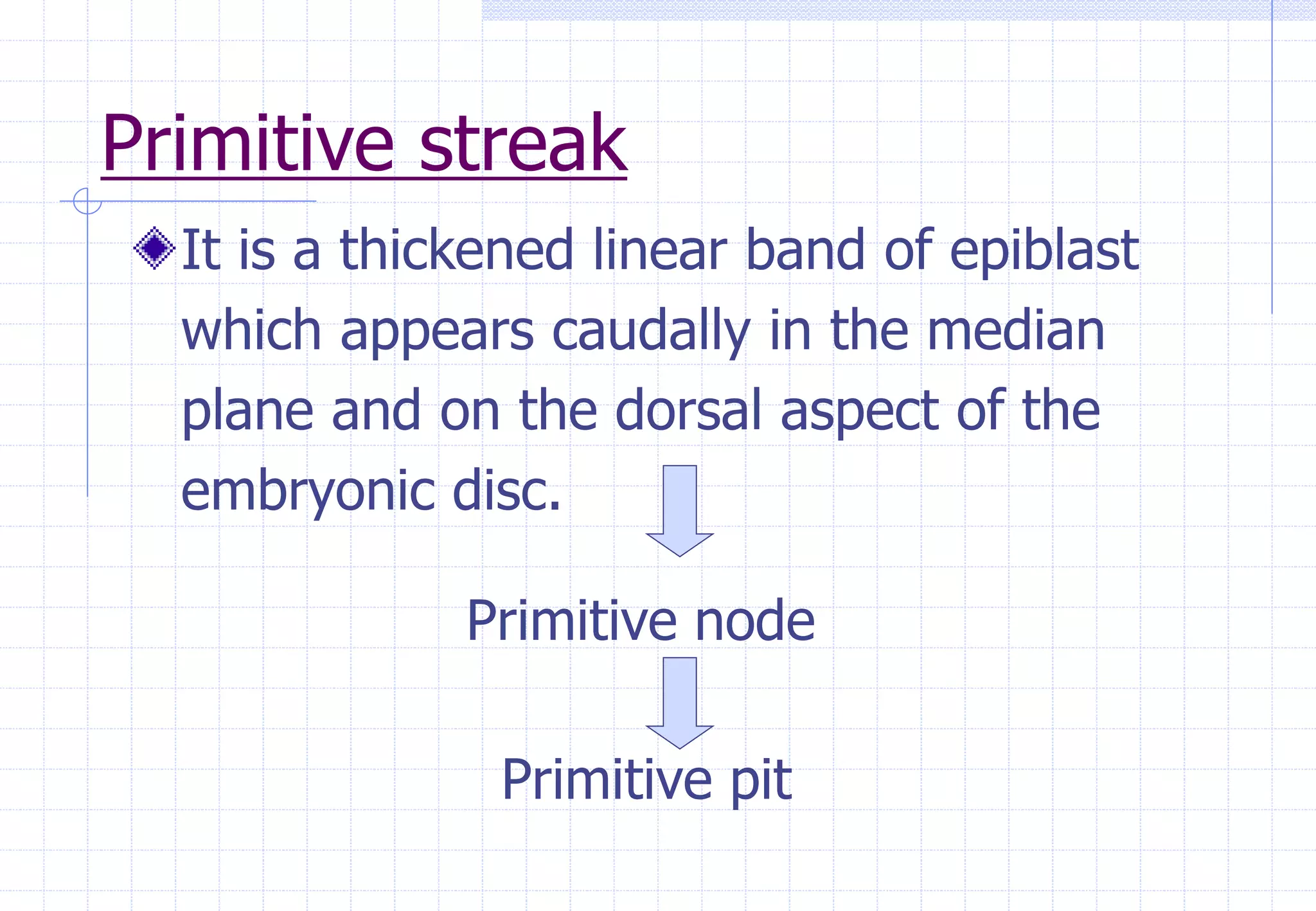 Primitive streak
It is a thickened linear band of epiblast
which appears caudally in the median
plane and on the dorsal aspect of the
embryonic disc.
Primitive node
Primitive pit
 