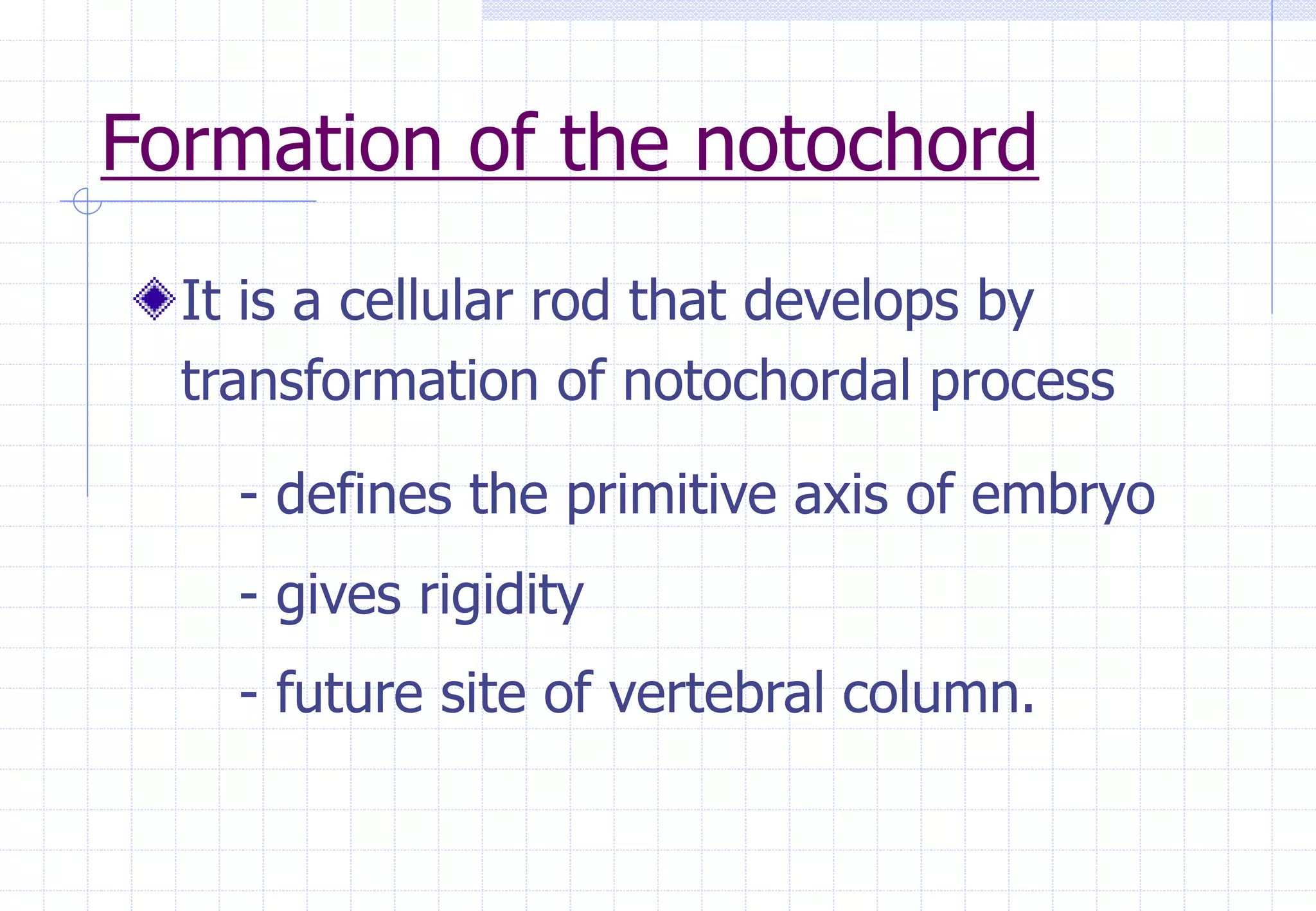 Formation of the notochord
It is a cellular rod that develops by
transformation of notochordal process
- defines the primitive axis of embryo
- gives rigidity
- future site of vertebral column.
 