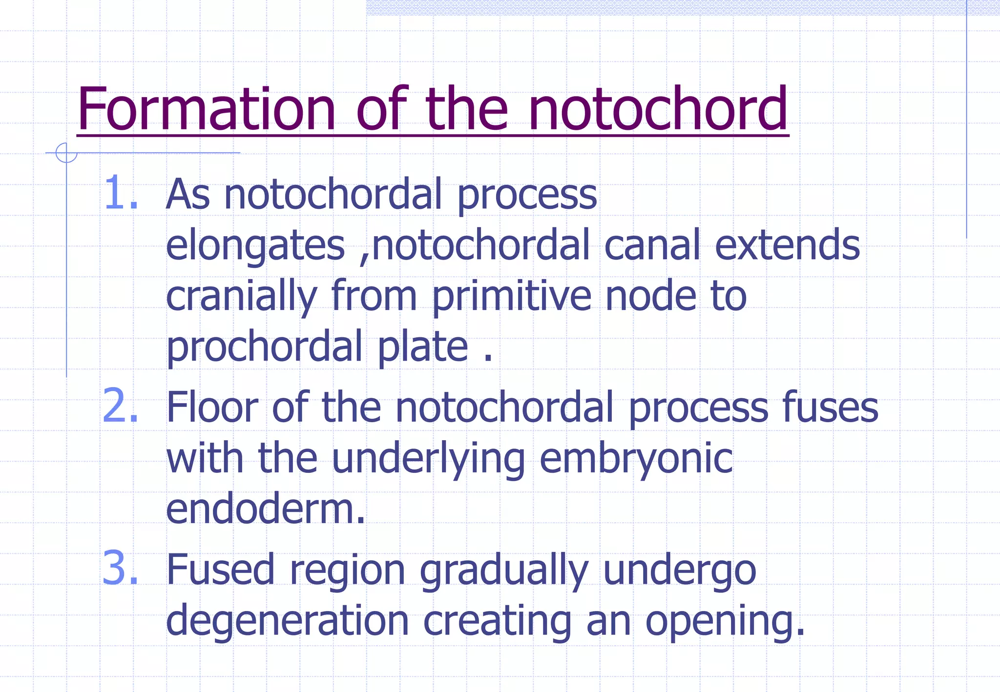 Formation of the notochord
1. As notochordal process
elongates ,notochordal canal extends
cranially from primitive node to
prochordal plate .
2. Floor of the notochordal process fuses
with the underlying embryonic
endoderm.
3. Fused region gradually undergo
degeneration creating an opening.
 