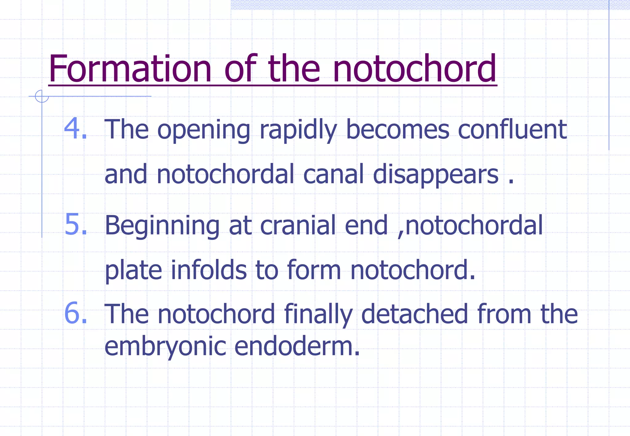 Formation of the notochord
4. The opening rapidly becomes confluent
and notochordal canal disappears .
5. Beginning at cranial end ,notochordal
plate infolds to form notochord.
6. The notochord finally detached from the
embryonic endoderm.
 