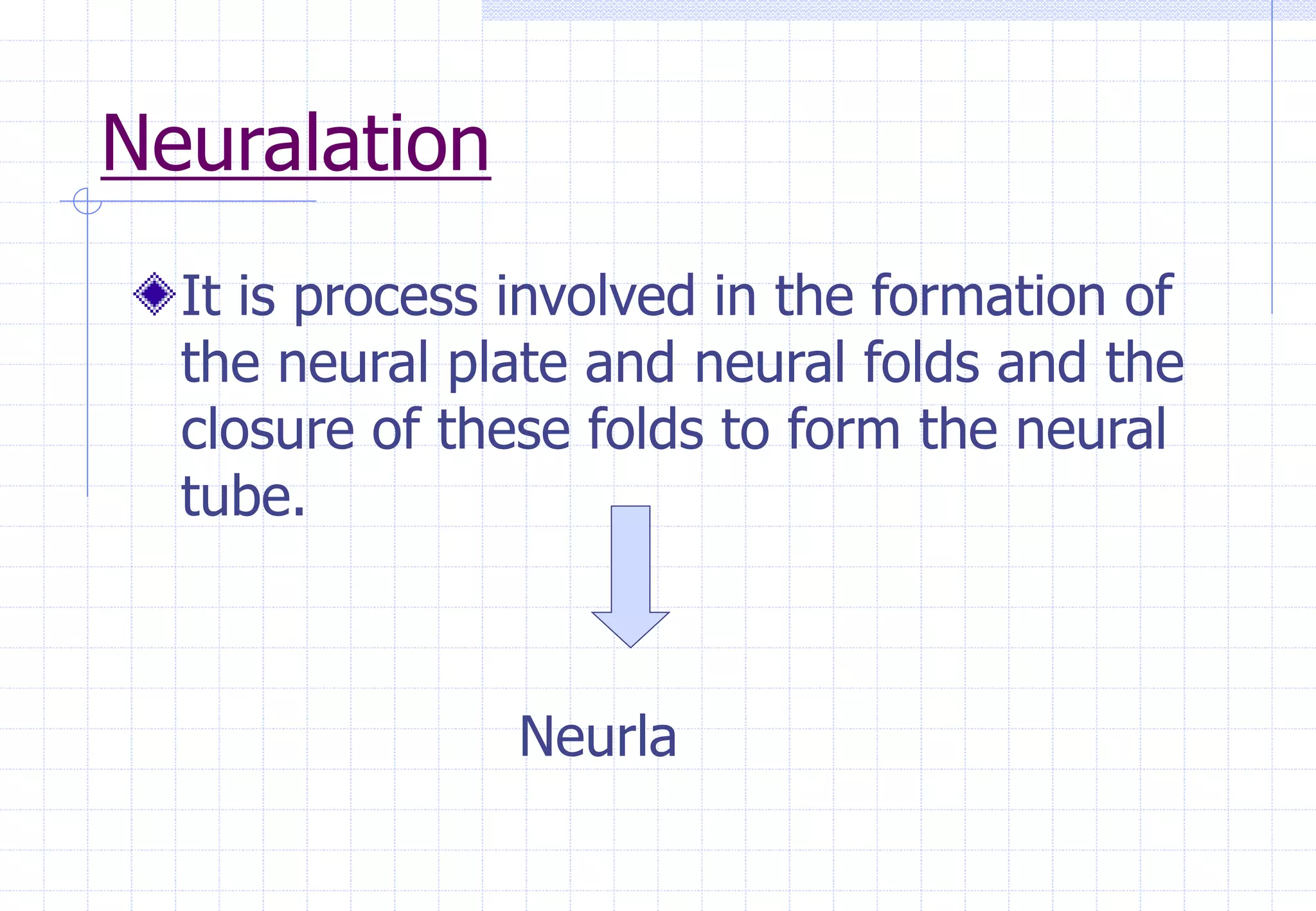 Neuralation
It is process involved in the formation of
the neural plate and neural folds and the
closure of these folds to form the neural
tube.
Neurla
 