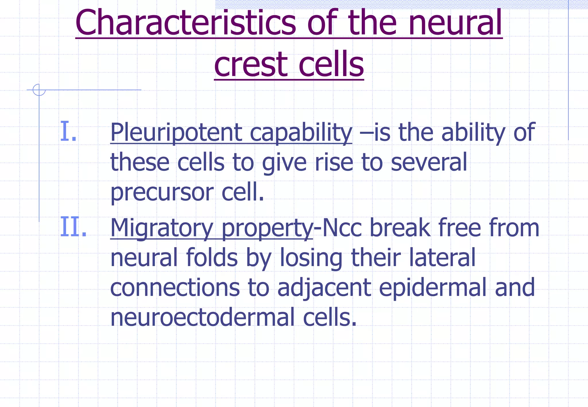 Characteristics of the neural
crest cells
I. Pleuripotent capability –is the ability of
these cells to give rise to several
precursor cell.
II. Migratory property-Ncc break free from
neural folds by losing their lateral
connections to adjacent epidermal and
neuroectodermal cells.
 