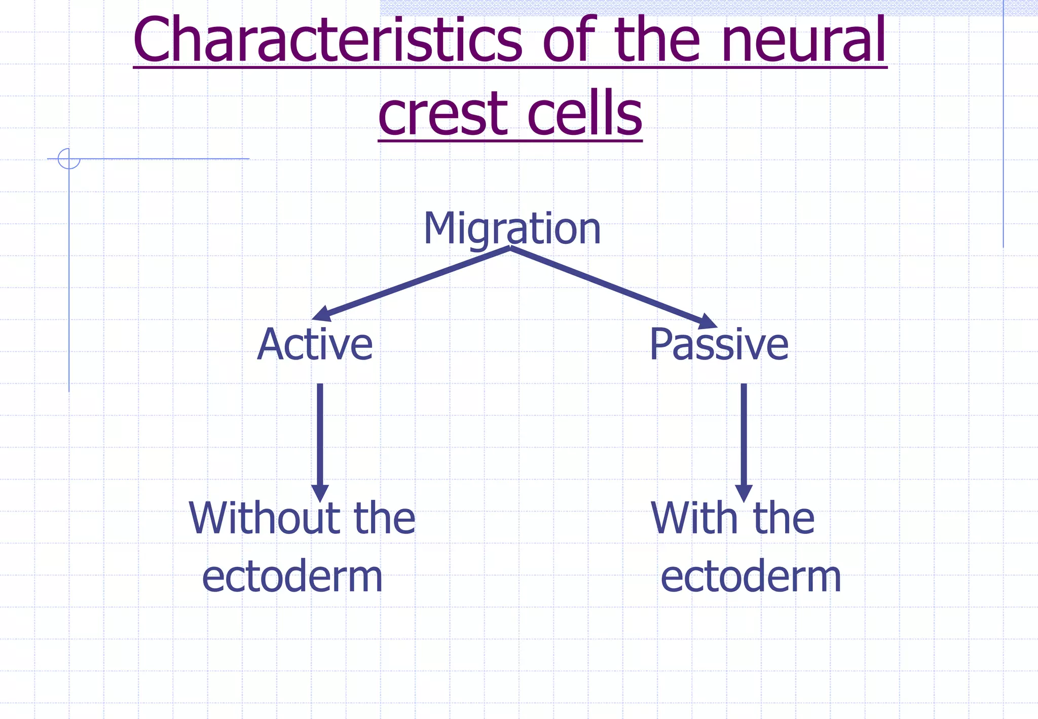 Characteristics of the neural
crest cells
Migration
Active Passive
Without the With the
ectoderm ectoderm
 