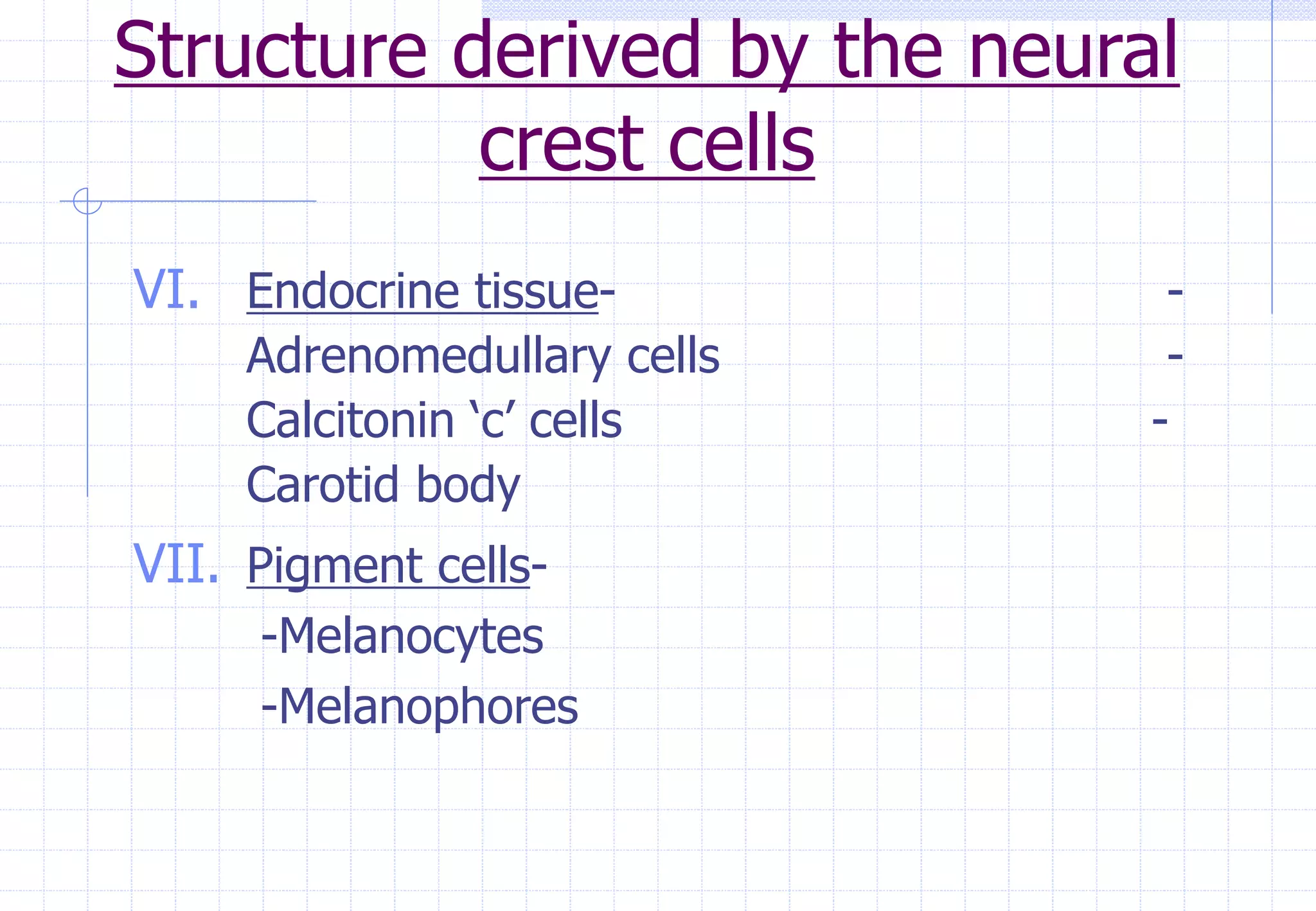 Structure derived by the neural
crest cells
VI. Endocrine tissue- -
Adrenomedullary cells -
Calcitonin ‘c’ cells -
Carotid body
VII. Pigment cells-
-Melanocytes
-Melanophores
 