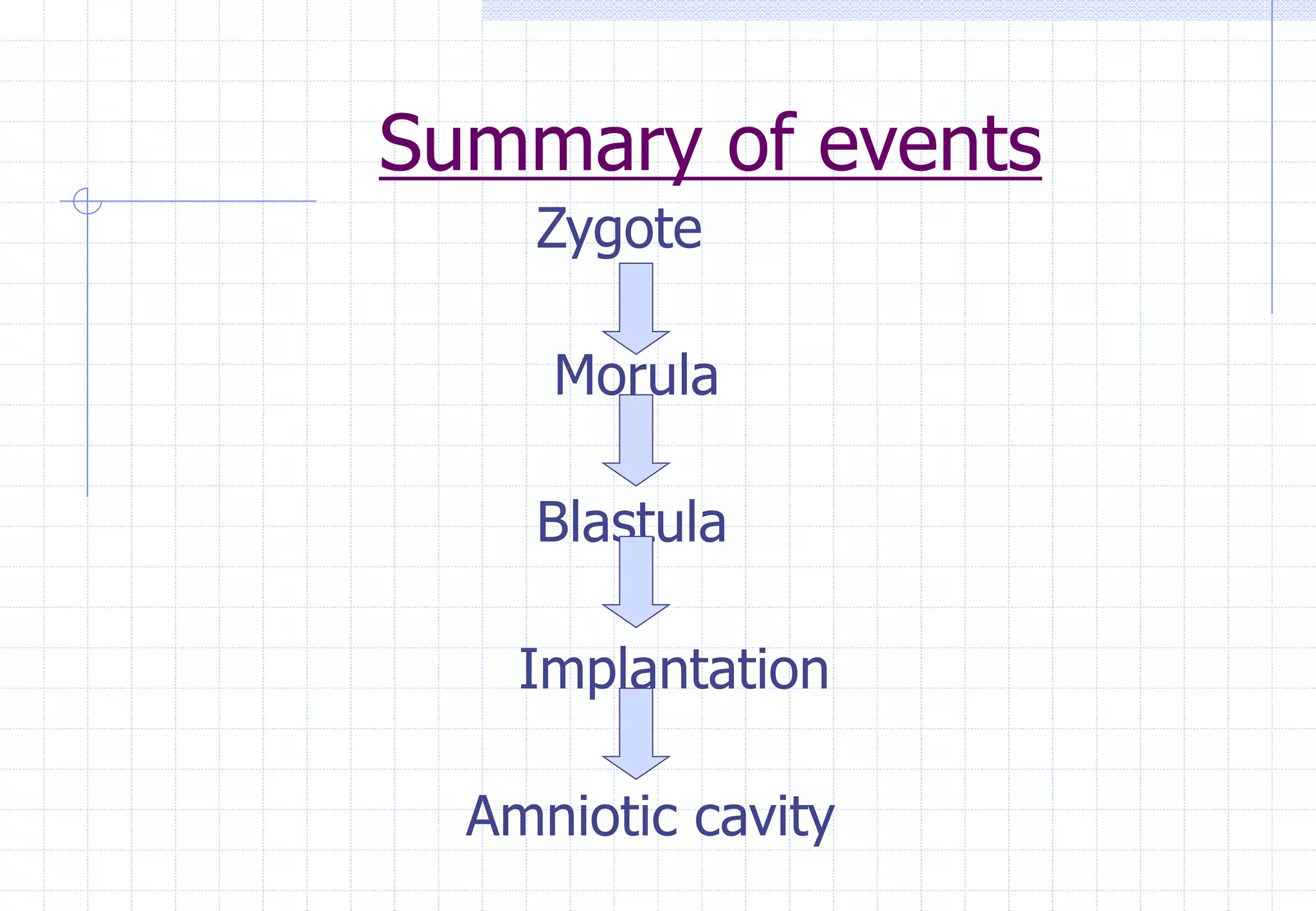 Summary of events
Zygote
Morula
Blastula
Implantation
Amniotic cavity
 