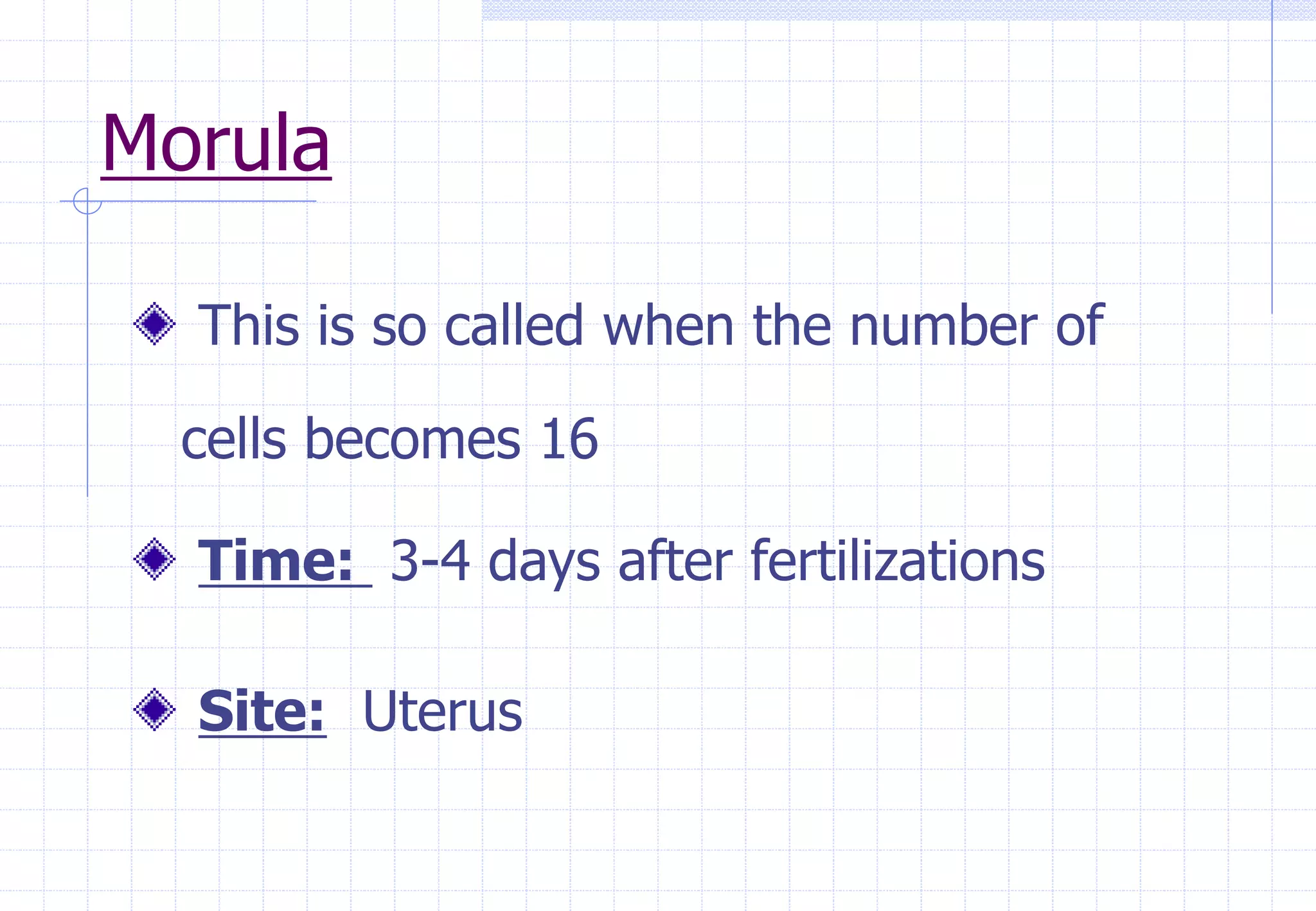 Morula
This is so called when the number of
cells becomes 16
Time: 3-4 days after fertilizations
Site: Uterus
 