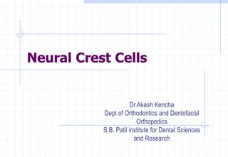 Neural Crest Cells
Dr.Akash Kencha
Dept of Orthodontics and Dentofacial
Orthopedics
S.B. Patil institute for Dental Sciences
and Research
 