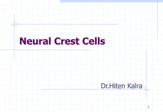 1
Neural Crest Cells
Dr.Hiten Kalra
 