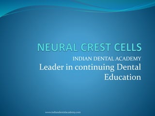 INDIAN DENTAL ACADEMY
Leader in continuing Dental
Education
www.indiandentalacademy.com
 