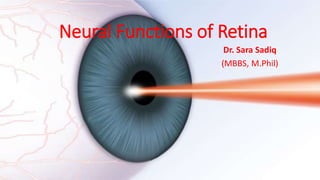 Neural Functions of Retina
Dr. Sara Sadiq
(MBBS, M.Phil)
 