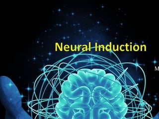 Neural Induction in human brain: principles and processes | PPTX