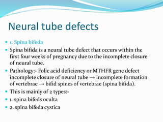 Neural tube defects
 1. Spina bifeda
 Spina bifida is a neural tube defect that occurs within the
first four weeks of pregnancy due to the incomplete closure
of neural tube.
 Pathology:- Folic acid deficiency or MTHFR gene defect
incomplete closure of neural tube → incomplete formation
of vertebrae → bifid spines of vertebrae (spina bifida).
 This is mainly of 2 types:-
 1. spina bifeds oculta
 2. spina bifeda cystica
 