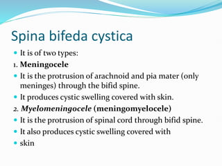 Spina bifeda cystica
 It is of two types:
1. Meningocele
 It is the protrusion of arachnoid and pia mater (only
meninges) through the bifid spine.
 It produces cystic swelling covered with skin.
2. Myelomeningocele (meningomyelocele)
 It is the protrusion of spinal cord through bifid spine.
 It also produces cystic swelling covered with
 skin
 