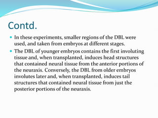 Contd.
 In these experiments, smaller regions of the DBL were
used, and taken from embryos at different stages.
 The DBL of younger embryos contains the first involuting
tissue and, when transplanted, induces head structures
that contained neural tissue from the anterior portions of
the neuraxis. Conversely, the DBL from older embryos
involutes later and, when transplanted, induces tail
structures that contained neural tissue from just the
posterior portions of the neuraxis.
 