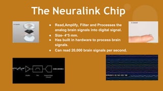 The Neuralink Chip
● Read,Amplify, Filter and Processes the
analog brain signals into digital signal.
● Size- 4*5 mm.
● Has built in hardware to process brain
signals.
● Can read 20,000 brain signals per second.
 