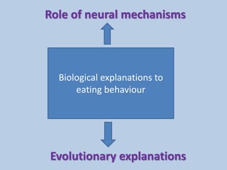 Biological explanations to
eating behaviour
Role of neural mechanisms
Evolutionary explanations
 