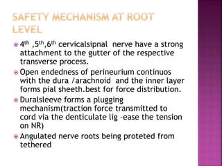 Neural mobilization | PPTX
