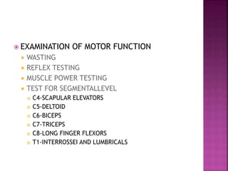 Neural mobilization | PPTX