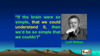 4
“If the brain were so
simple, that we could
understand it, then
we’d be so simple that
we couldn’t”
Lyall Watson
 