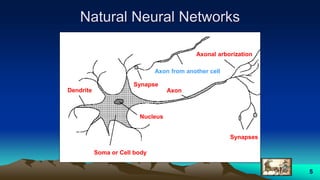 5
Axon from another cell
Nucleus
Axon
Soma or Cell body
Synapse
Synapses
Dendrite
Axonal arborization
Natural Neural Networks
 
